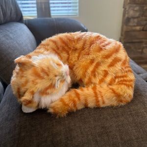 Sleeping orange cat